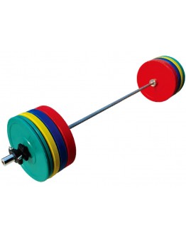 310LB Colorful Rubber Barbell set