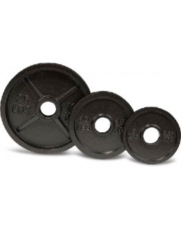 Hammertone Olympic Weight Plate